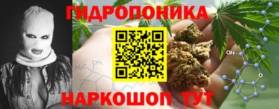 гашик Партизанск