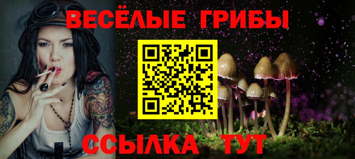 Свободный  Галлюциногенные грибы прущие грибы  Вход с VPN  Галлюциногенные грибы Psilocybe 